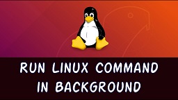 run linux command in background