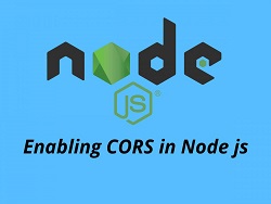 enable cors in nodejs