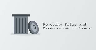 shell script to delete files in folder