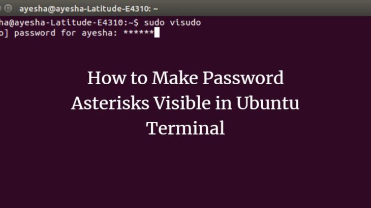 show asterisk for password in linux