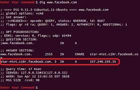 reverse dns lookup in linux