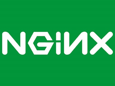 nginx allow local access