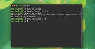 take screenshot in ubuntu terminal