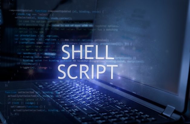 check if variable is set in shell script
