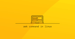 delete last field in linux