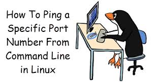 ping specific port in linux