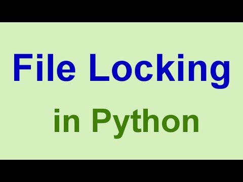 lock file in python