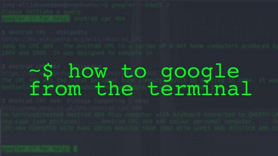 search google from terminal