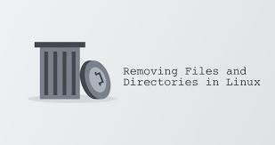 delete multiple directories in linux