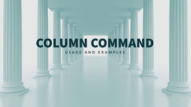 display command file output columns