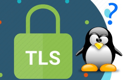 fix unacceptable TLS certificate in linux