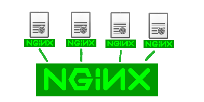list nginx virtual hosts