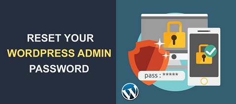 rest wordpress admin password